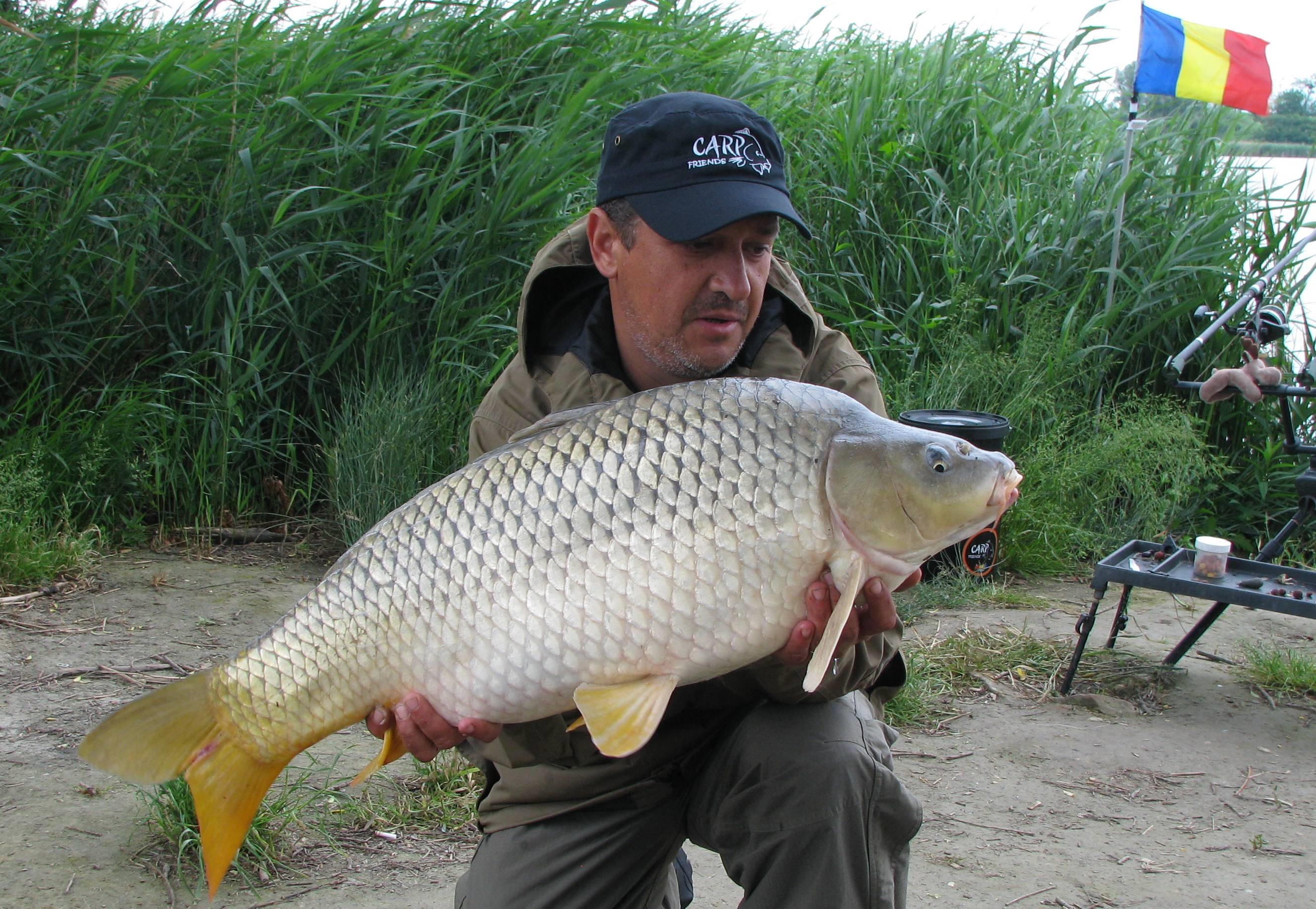 capturi - IMG_2977.JPG